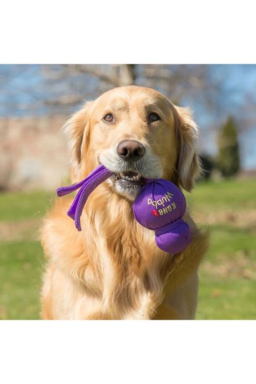 Kong Köpek Wubba Sesli Oyuncak Small 21 Cm