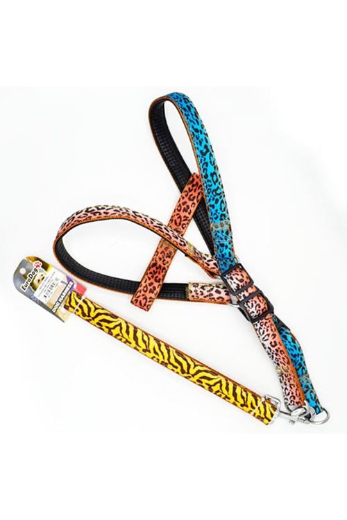 Euro Dog Köpek Uzatma Tasması ve Göğüs Tasması Takımı Renkli 25 Mm 120 Cm