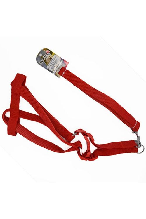 a Tasması ve Göğüs Tasması Takımı Kırmızı 20 Mm 120 Cm