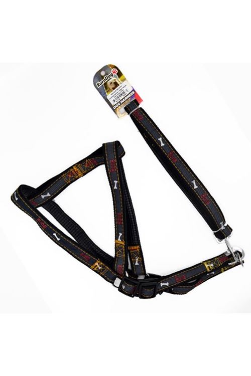 Euro Dog Köpek Uzatma Tasması ve Göğüs Tasması Takımı Siyah 25 Mm 120 Cm