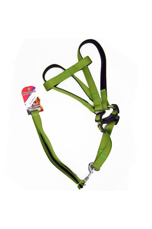 Euro Dog Köpek Uzatma Tasması ve Göğüs Tasması Takımı Yeşil 25 Mm 120 Cm