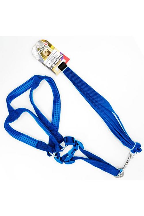 Euro Dog Köpek Uzatma Tasması ve Göğüs Tasması Takımı Mavi 20 Mm 120 Cm