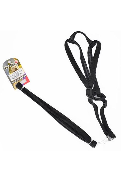Euro Dog Köpek Uzatma Tasması ve Göğüs Tasması Takımı Siyah 19 Mm 120 Cm