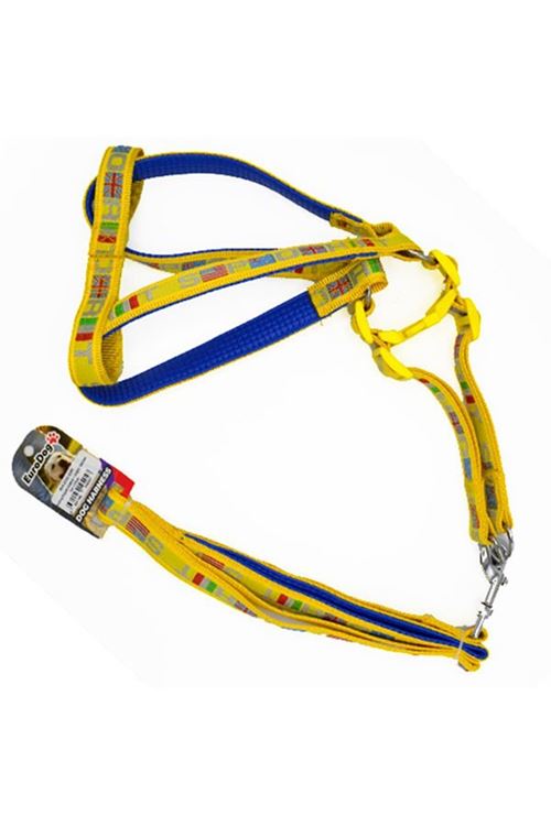 Euro Dog Köpek Uzatma Tasması ve Göğüs Tasması Takımı Sarı 20 Mm 120 Cm