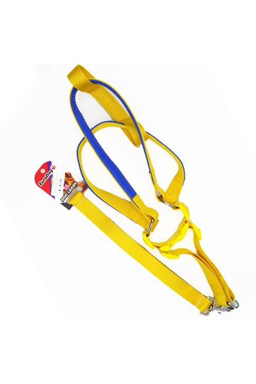 Euro Dog Köpek Uzatma Tasması ve Göğüs Tasması Takımı Sarı 25 Mm 120 Cm