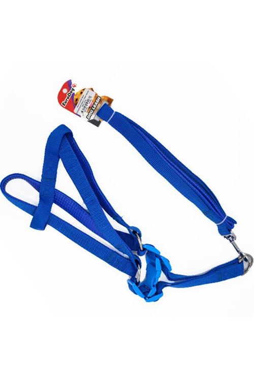 Euro Dog Köpek Uzatma Tasması ve Göğüs Tasması Takımı Mavi 15 Mm 120 Cm