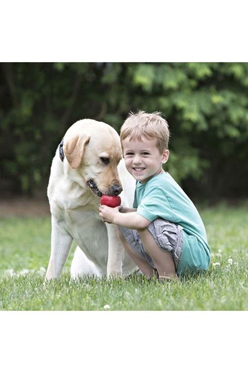 Kong Kedi Oyuncak, Kediotlu, Kickeroo 40 Cm