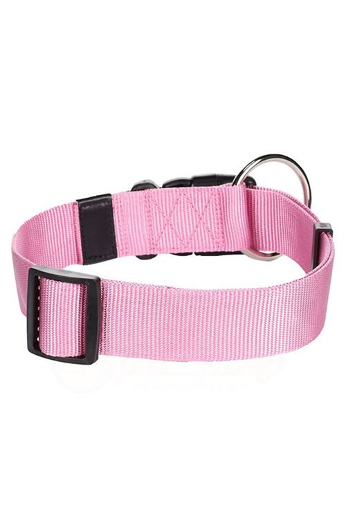 Flamingo Köpek Boyun Tasması Pembe 55-75 Cm