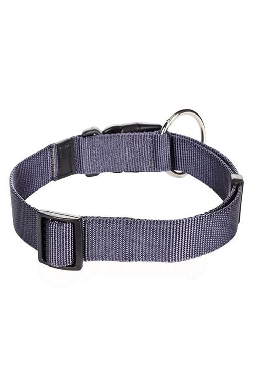 Flamingo Köpek Boyun Tasması Mavi 45-65 Cm