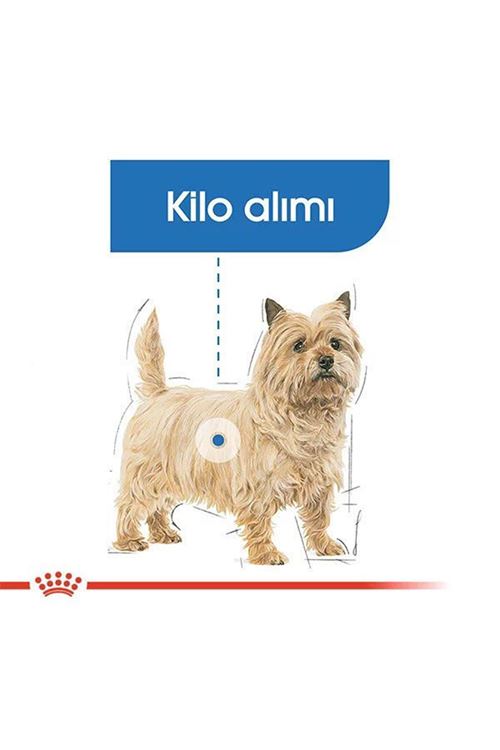 Royal Canin Mini Light Care Diyet Yetişkin Köpek Maması 3 Kg
