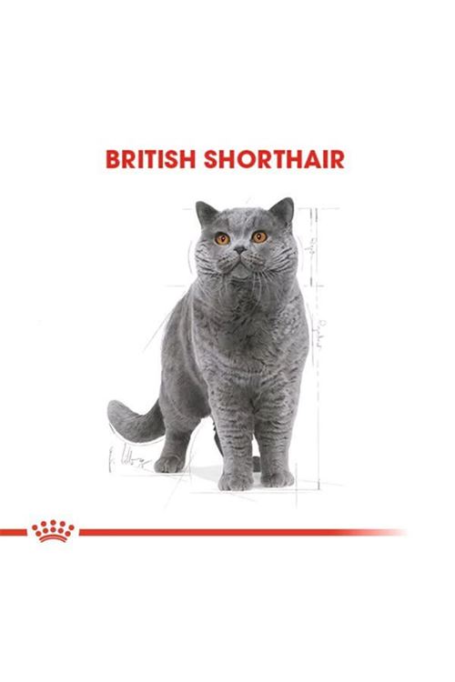 Royal Canin British Shorthair Adult Pouch Konserve Kedi Maması 85 Gr