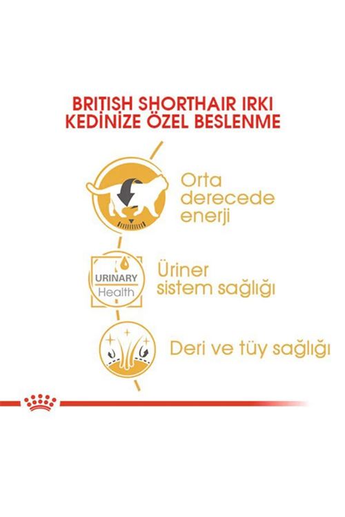 Royal Canin British Shorthair Adult Pouch Konserve Kedi Maması 85 Gr