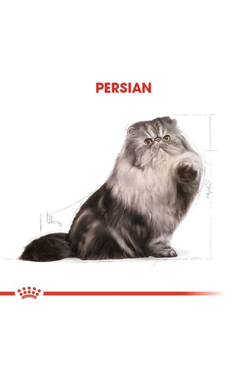 Royal Canin Persian Adult Yetişkin İran Kedisi Maması 10 Kg
