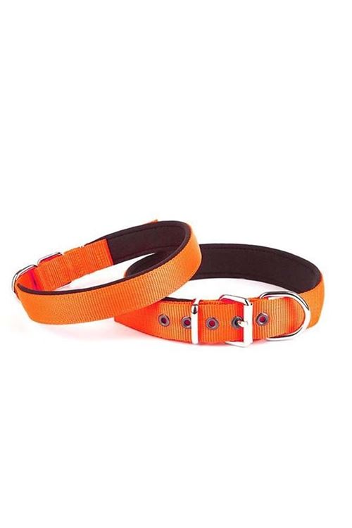 Doggie Comfort Dokuma Köpek Boyun Tasması Large Turuncu 3x47-55 Cm