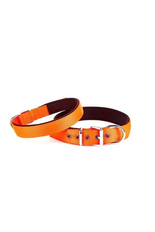 Doggie Comfort Dokuma Köpek Boyun Tasması Medium Turuncu 2.5x37-45 Cm