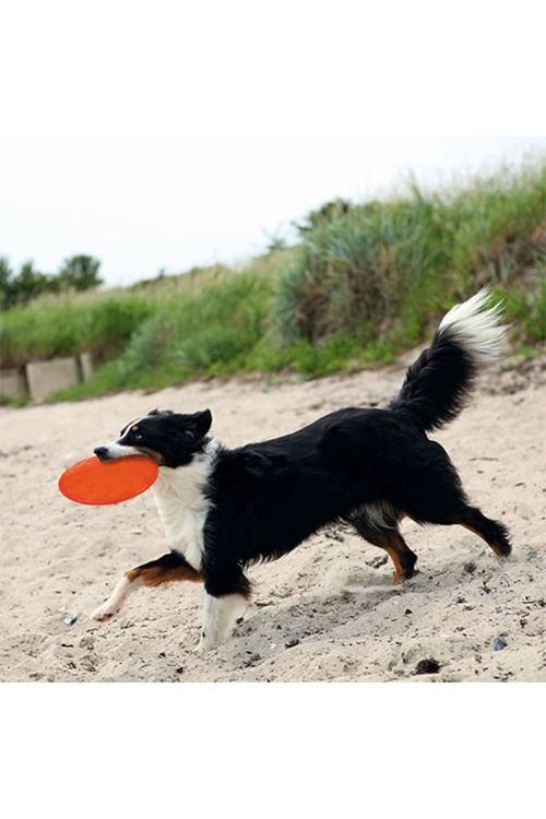 Trixie Yüzen Termoplastik Kauçuk Frizbi Köpek Oyuncak 18 Cm