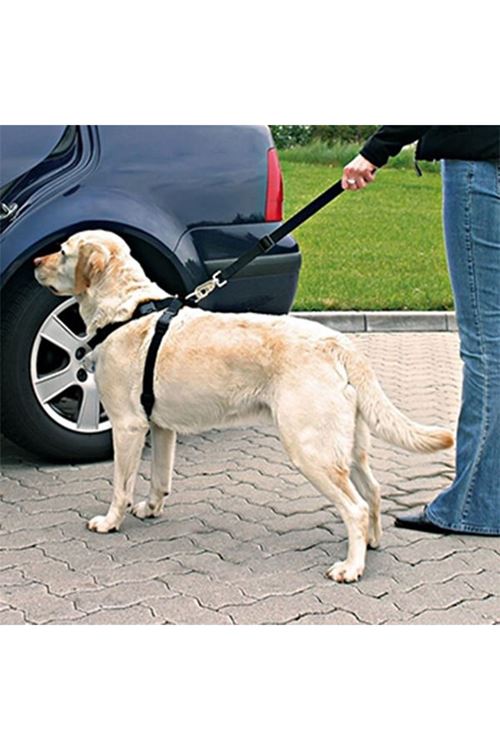 Trixie Köpek Emniyet Kemeri Medium 50-70 Cm