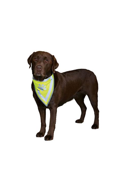 Trixie Köpek Bandanalı Tasma Xlarge 42-60 Cm