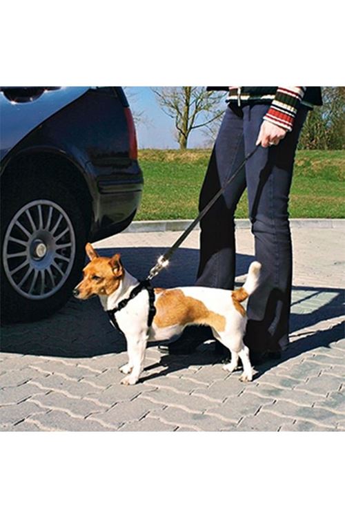 Trixie Köpek Emniyet Kemeri Medium 50-70 Cm