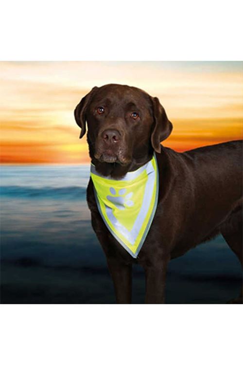 Trixie Köpek Bandanalı Tasma Xlarge 42-60 Cm