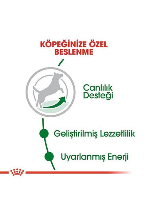 Royal Canin Mini Adult 8+ Küçük Irk Yaşlı Köpek Maması 2 Kg