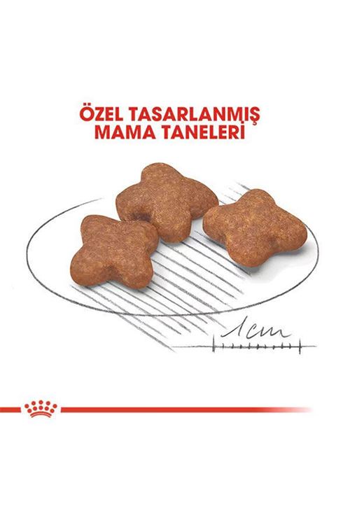 Royal Canin Mini Adult 8+ Küçük Irk Yaşlı Köpek Maması 2 Kg