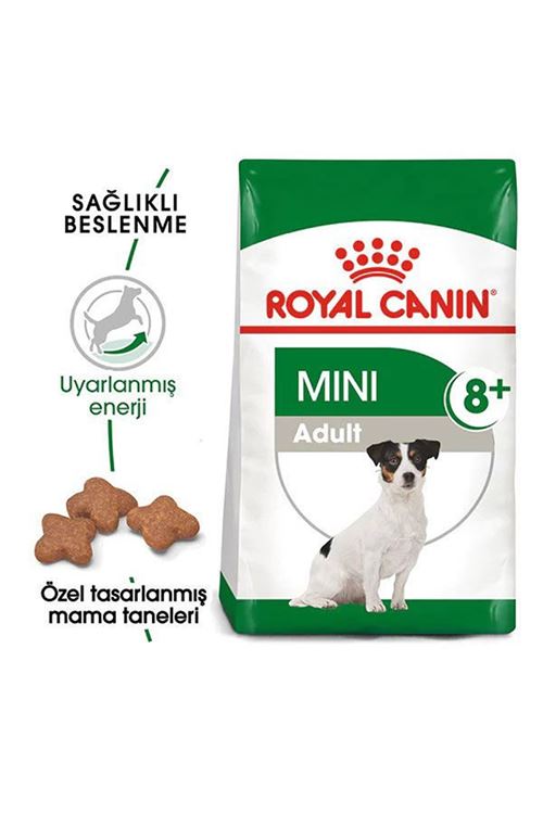 Royal Canin Mini Adult 8+ Küçük Irk Yaşlı Köpek Maması 2 Kg