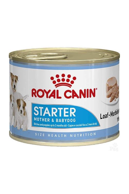 Royal Canin Starter Mousse Yavru Konserve Köpek Maması 195 Gr