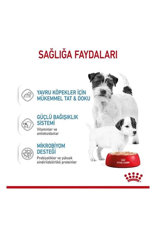 Royal Canin Starter Mousse Yavru Konserve Köpek Maması 195 Gr