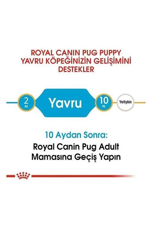 Royal Canin Pug Junior Yavru Köpek Maması 1.5 Kg
