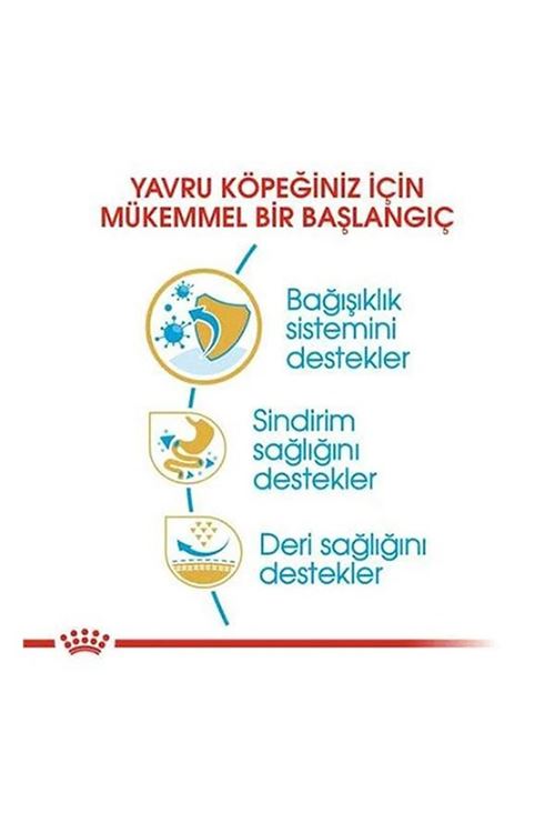 Royal Canin French Bulldog Junior Yavru Köpek Maması 3 Kg