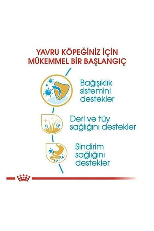 Royal Canin Cocker Junior Yavru Köpek Maması 3 Kg