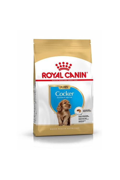 Royal Canin Cocker Junior Yavru Köpek Maması 3 Kg