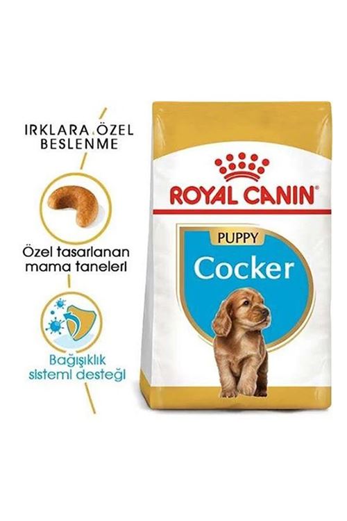 Royal Canin Cocker Junior Yavru Köpek Maması 3 Kg