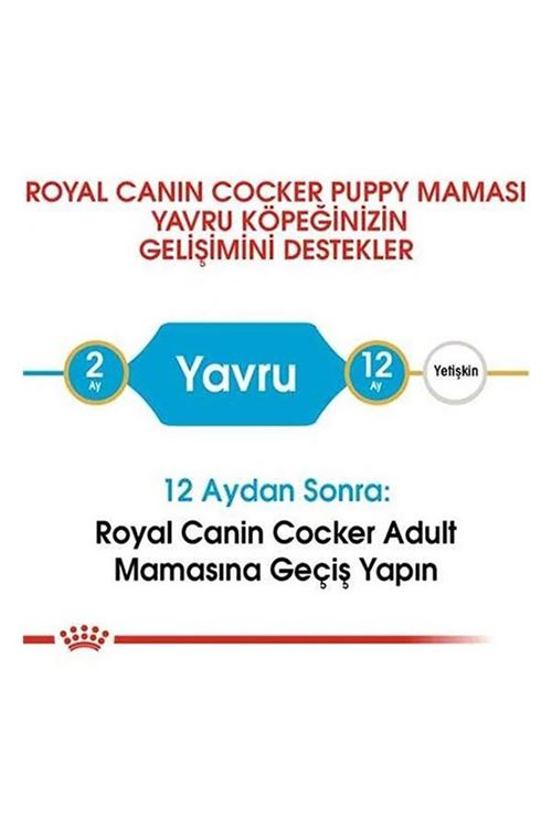 Royal Canin Cocker Junior Yavru Köpek Maması 3 Kg