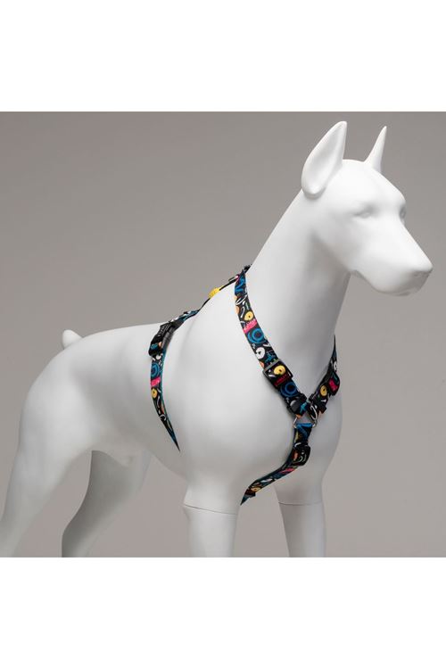 Lindo Dogs Enjoy H Tipi Köpek Göğüs Tasması Renkli Beden Small