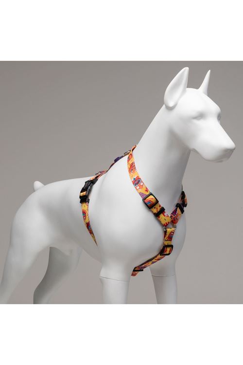 Lindo Dogs Gingerman H Tipi Köpek Göğüs Tasması Turuncu Beden Small