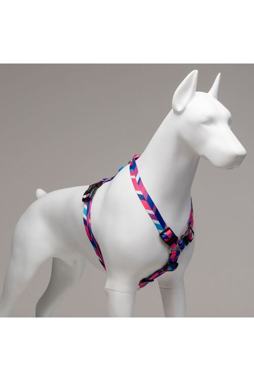 Lindo Dogs Pink Dream H Tipi Köpek Göğüs Tasması Mavi/Pembe Beden Small