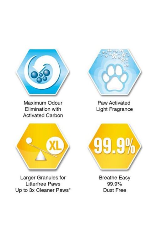 Ever Clean LitterFree Paws İz Bırakmayan Kedi Kumu 10 Lt