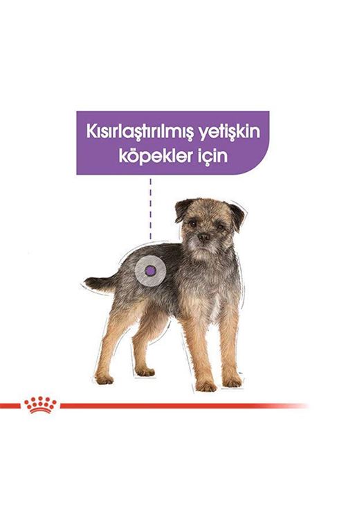 Royal Canin Sterilised Pouch Konserve Köpek Maması 85 Gr