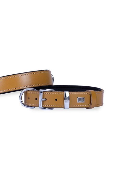 Doggie Konfor Deri Köpek Boyun Tasması Medium Camel 2.5x37-45 Cm