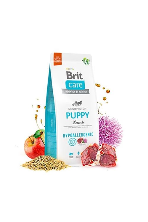 Brit Care Hypo-Allergenic Kuzu Etli Yavru Köpek Maması 3 Kg