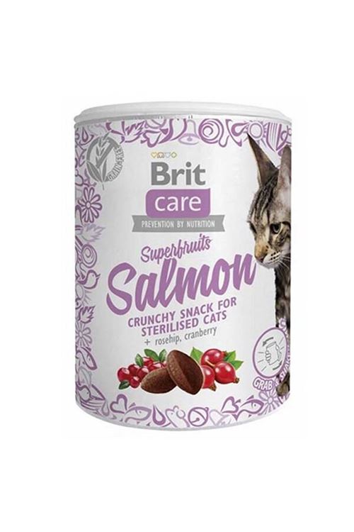 Brit Care Süper Fruits Somonlu Kedi Ödül Maması 100 Gr