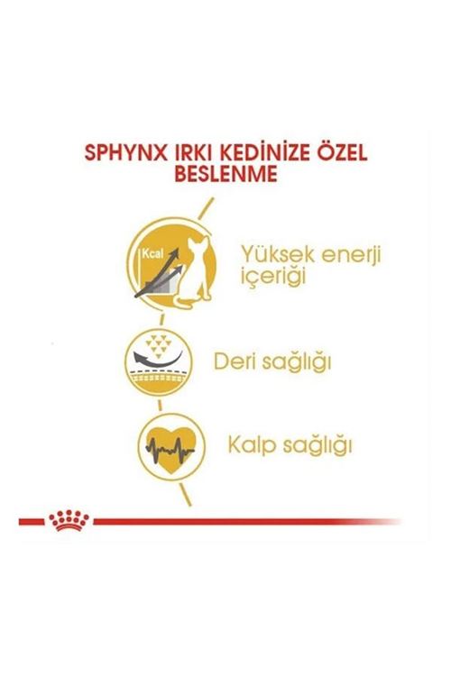 Royal Canin Tüysüz Sphynx Cinsi Yetişkin Kedi Maması 2 Kg