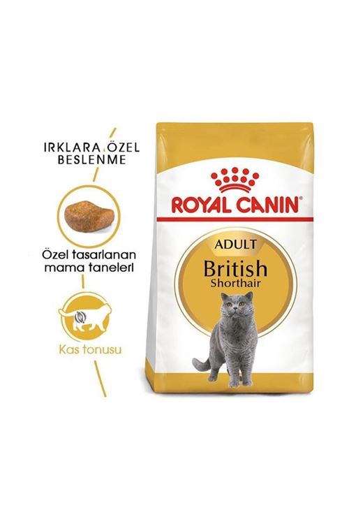 Royal Canin British Shorthair Adult Yetişkin Kedi Maması 4 Kg