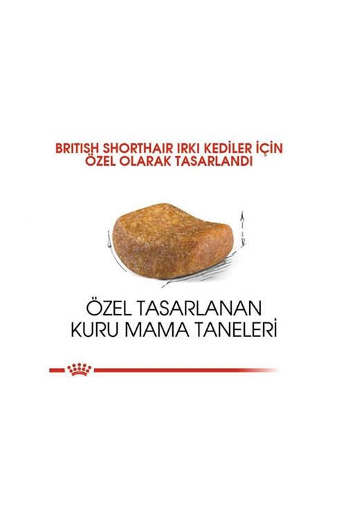 Royal Canin British Shorthair Adult Yetişkin Kedi Maması 4 Kg