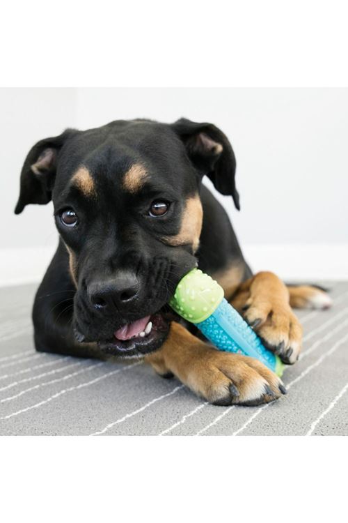 Kong Core Strength Köpek Çiğneme Oyuncağı 17.5 Cm