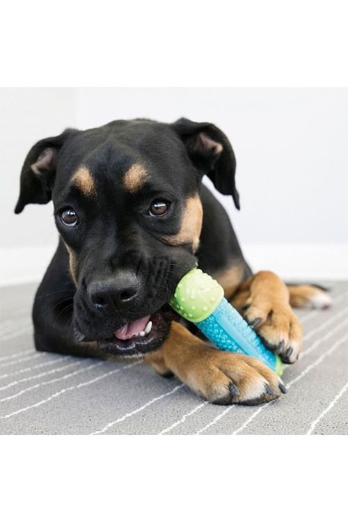 Kong Core Strength Köpek Çiğneme Oyuncağı 13.5 Cm