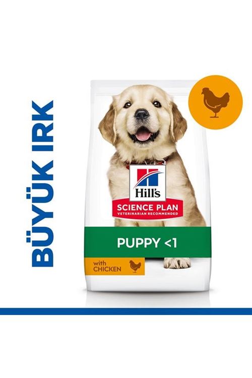 Hills Puppy Large Breed Tavuklu Büyük Irk Yavru Köpek Maması 2.5 Kg