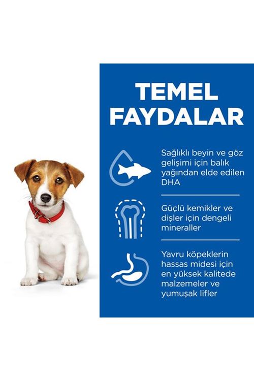 Hills Puppy Small & Miniature Tavuklu Küçük Irk Yavru Köpek Maması 3 Kg
